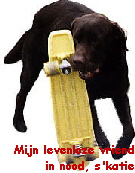 Coskate 1