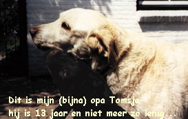 cootje+tomsje.1JPG