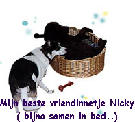 nicky